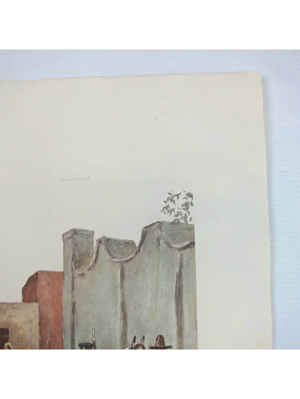 Antique 1892 Print 